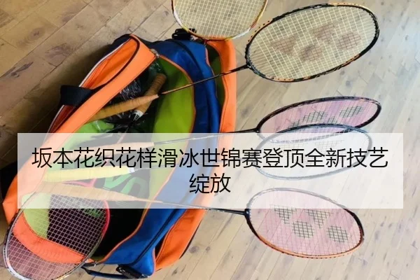 ban-ben-hua-zhi-hua-yang-hua-bing-shi-jin-sai-deng-ding-quan-xin-ji-yi-zhan-fang-2-685.jpg